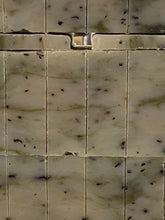 Load image into Gallery viewer, Eucalyptus Spice Soap